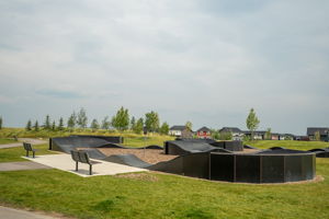  Photo 46