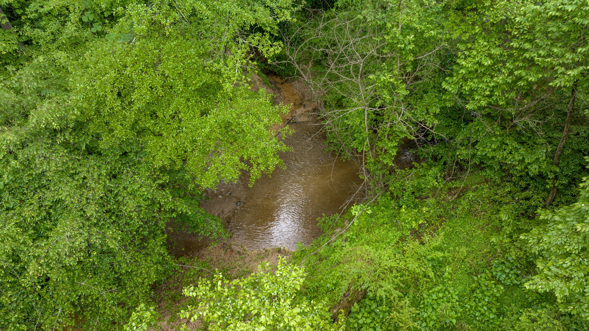 Image-42