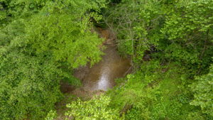 Image-42