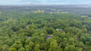 Image-52