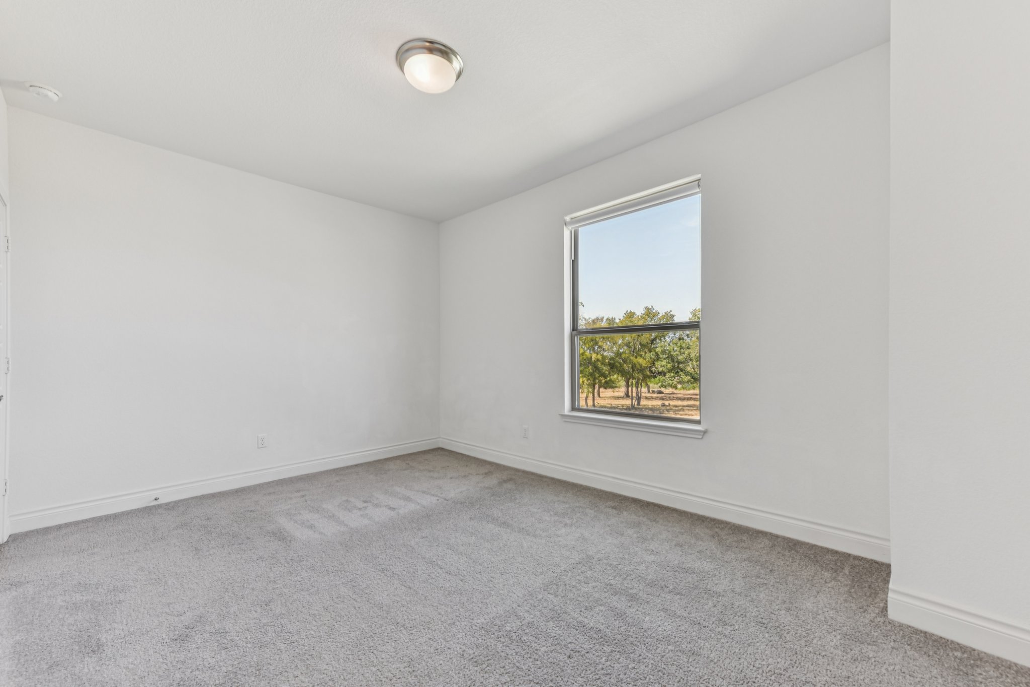 Rosetta Loop-L2310-046.jpg