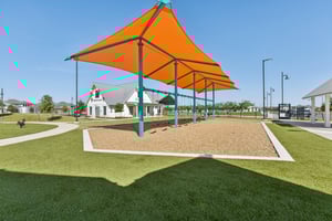 Rosetta Loop-2310-906.jpg