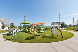 Rosetta Loop-2310-909.jpg