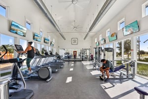 Rosetta Loop-2310-910.jpg