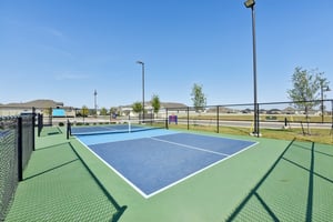 Rosetta Loop-2310-914.jpg