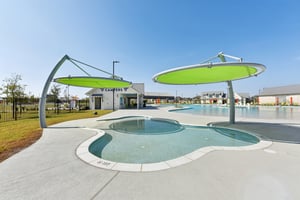 Rosetta Loop-2310-920.jpg