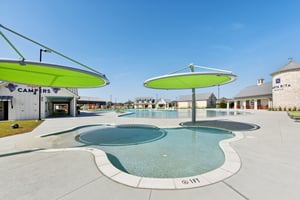 Rosetta Loop-2310-921.jpg