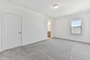 Rosetta Loop-L2310-038.jpg