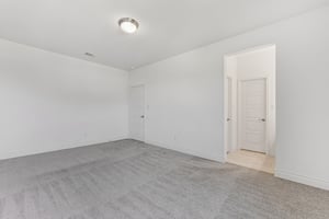 Rosetta Loop-L2310-039.jpg