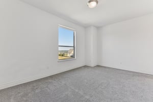 Rosetta Loop-L2310-043.jpg