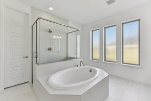 Rosetta Loop-L2310-065.jpg