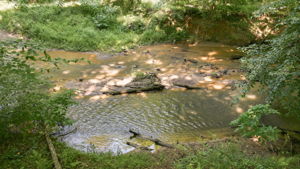 Image-57