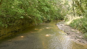 Image-58
