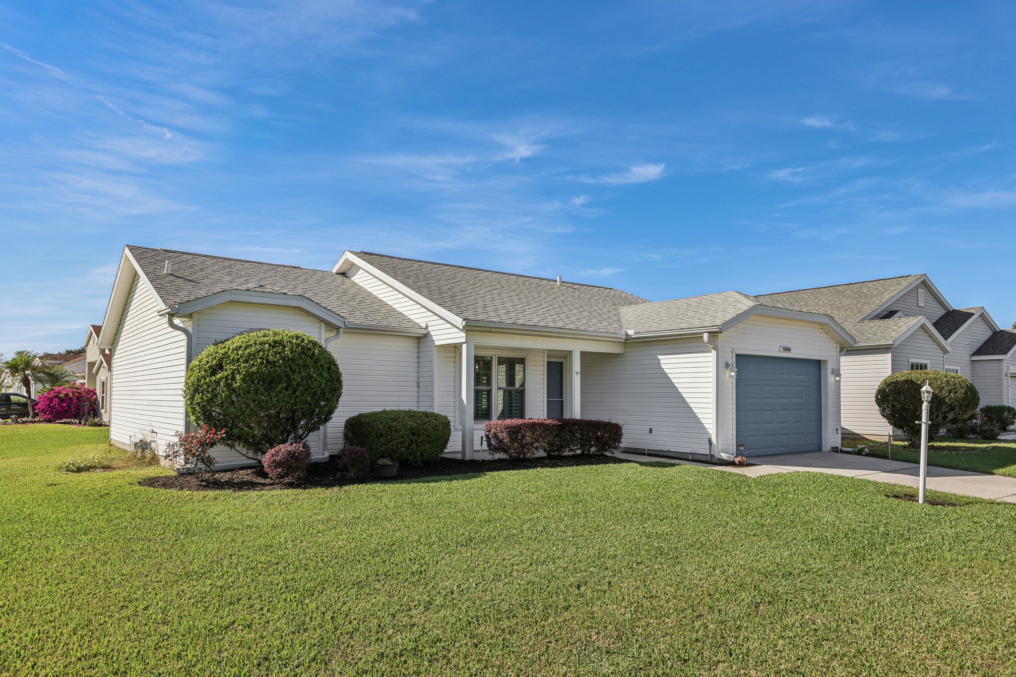 Hibiscus St-S1211-003.jpg