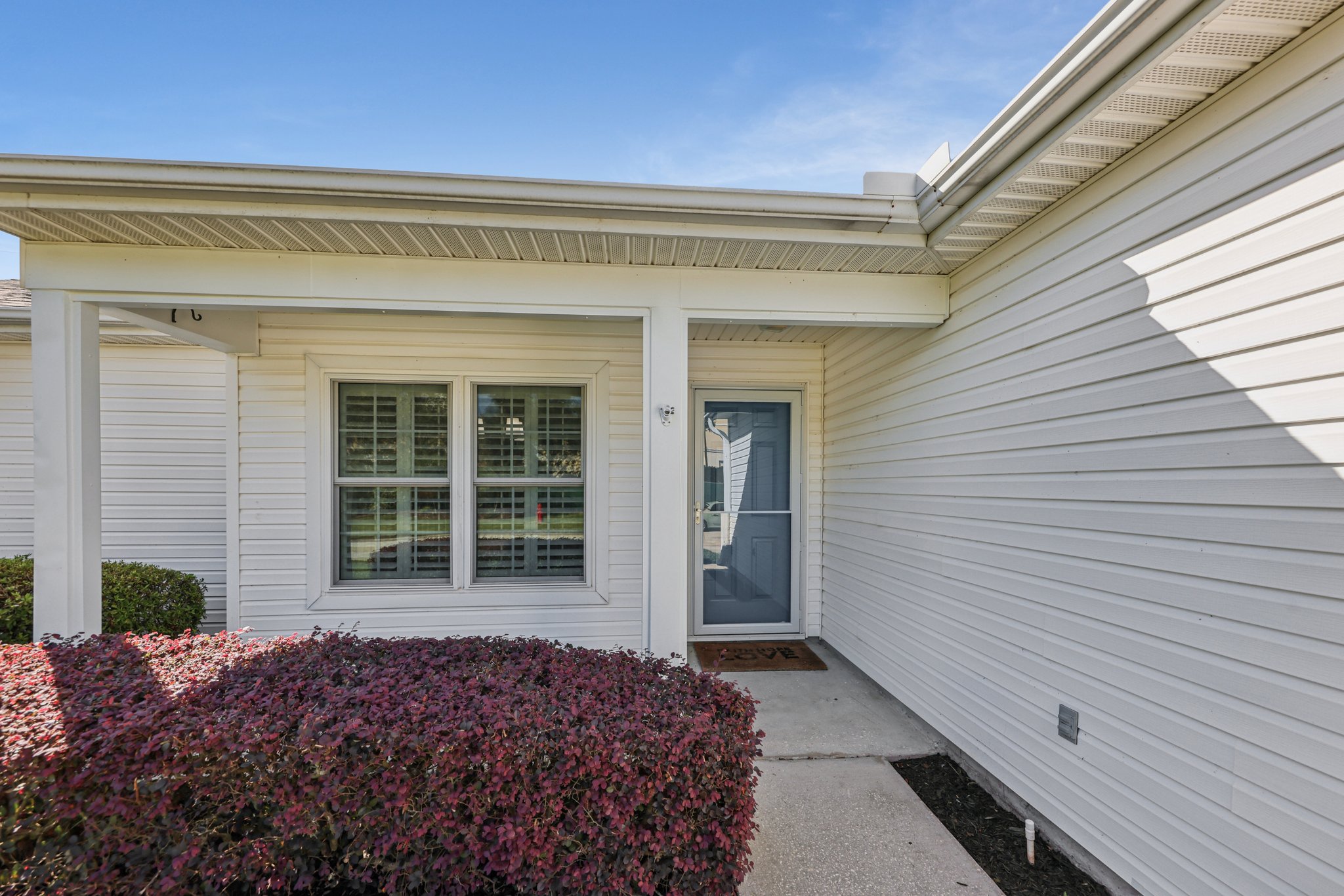 Hibiscus St-S1211-005.jpg