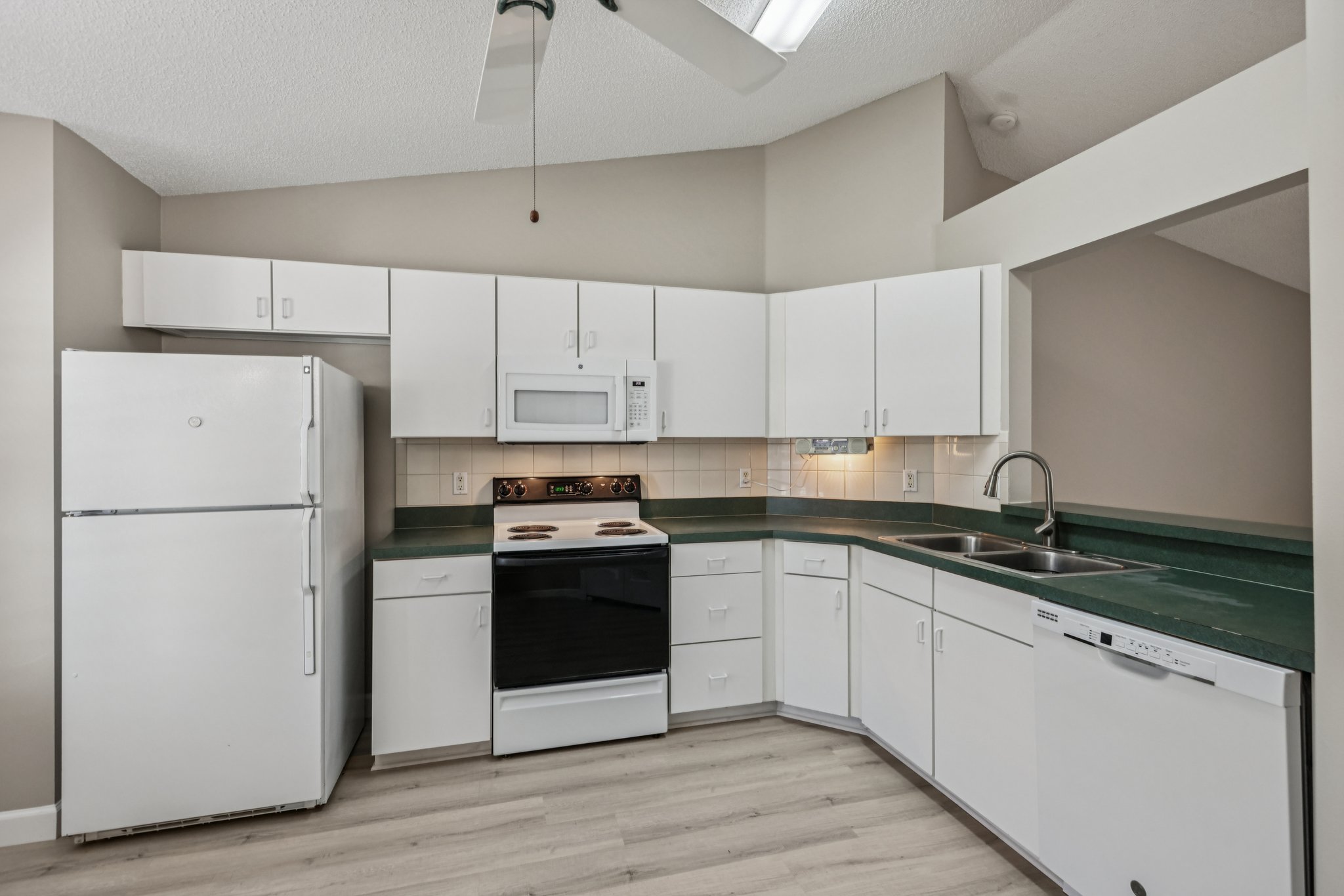 Hibiscus St-S1211-010.jpg