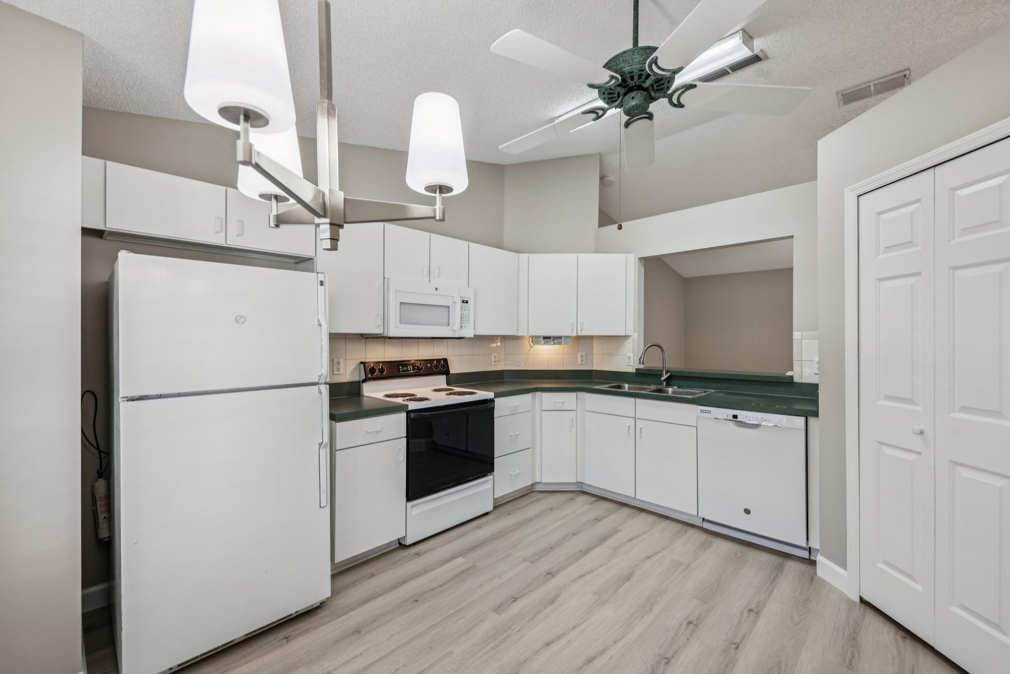 Hibiscus St-S1211-011.jpg