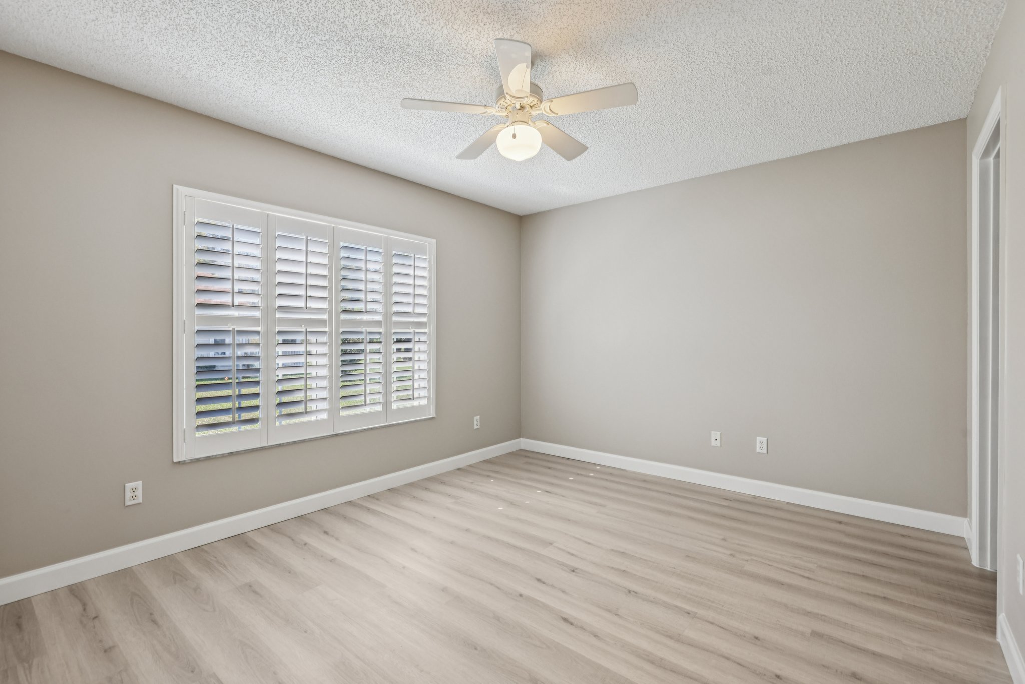 Hibiscus St-S1211-016.jpg