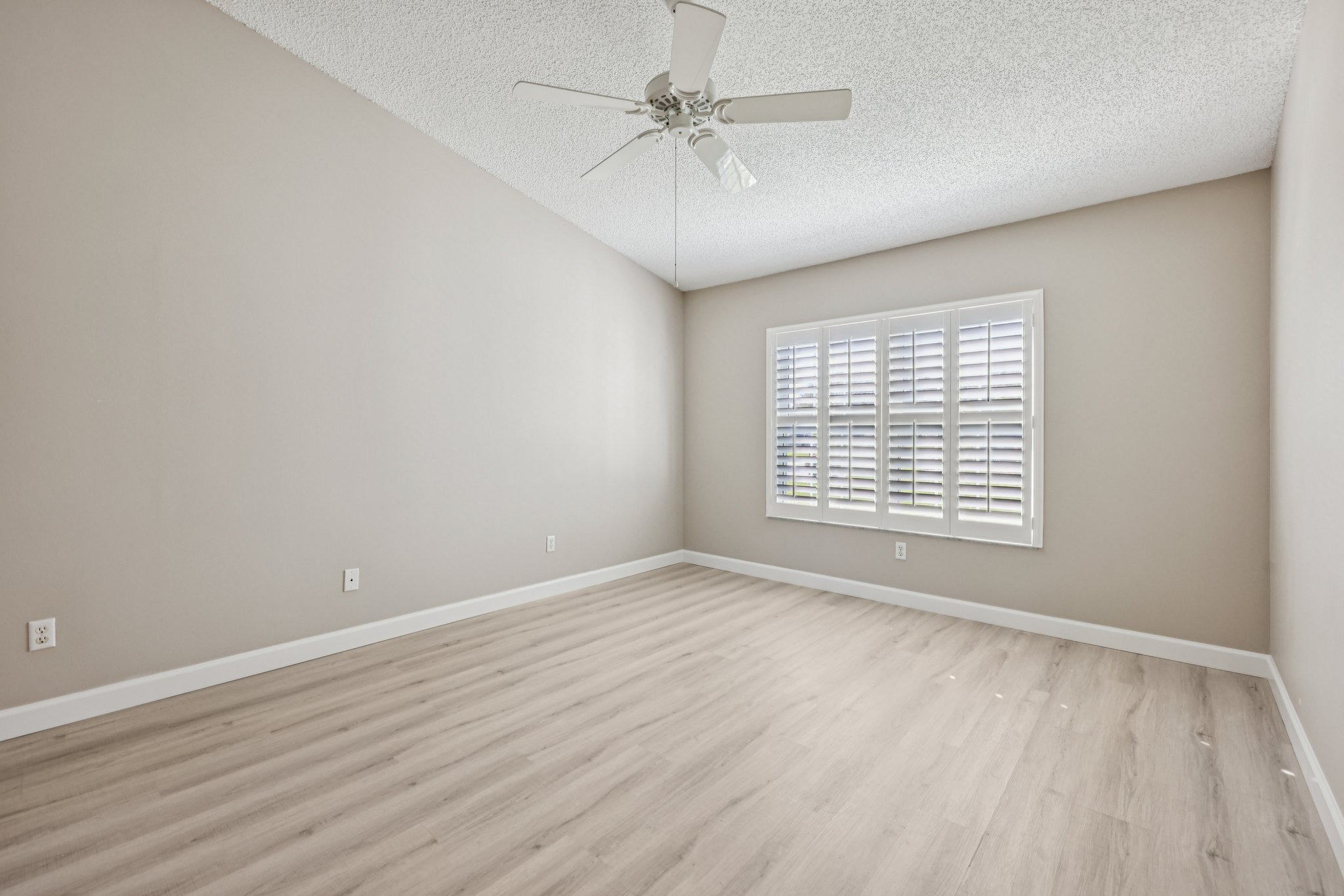 Hibiscus St-S1211-021.jpg