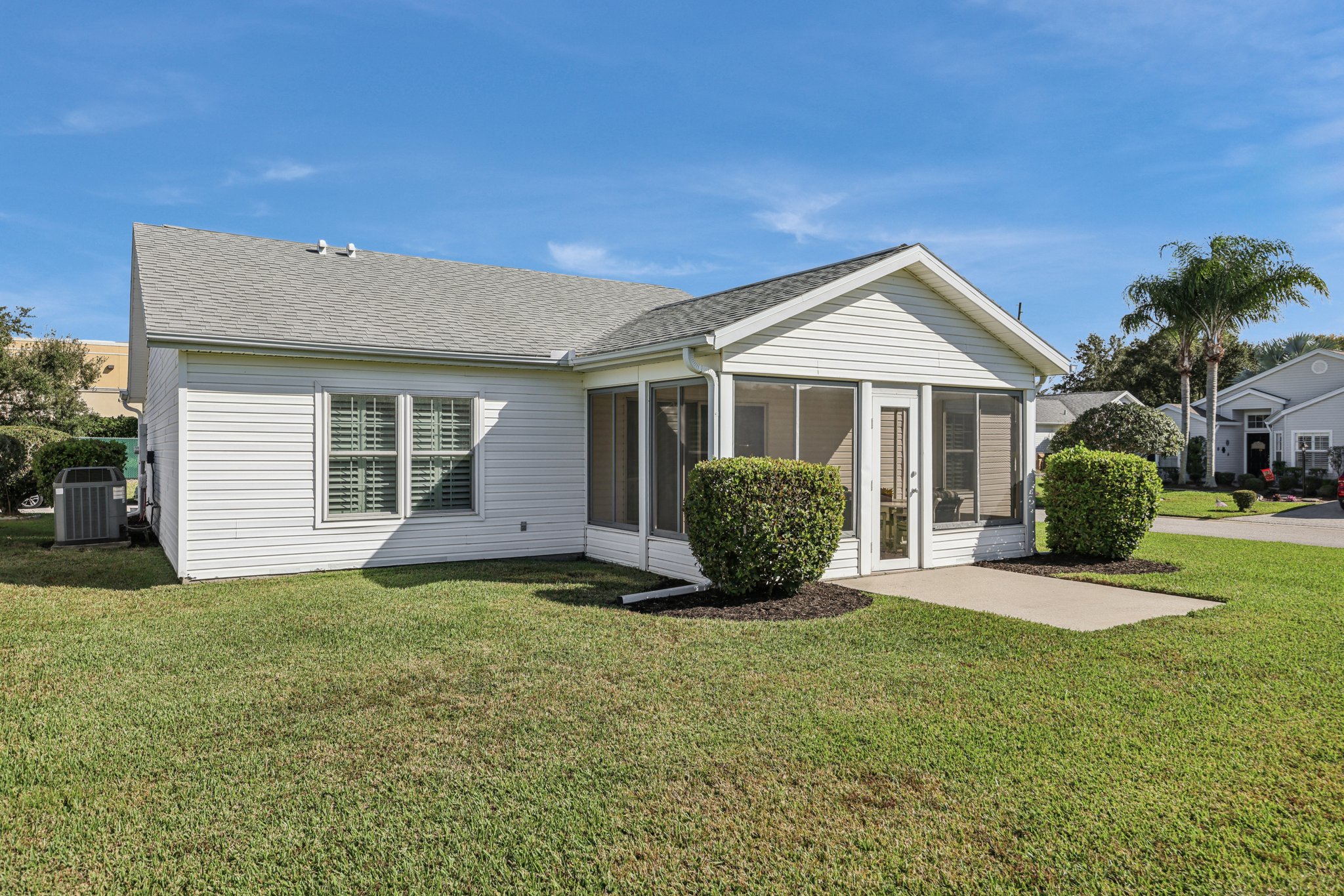 Hibiscus St-S1211-030.jpg