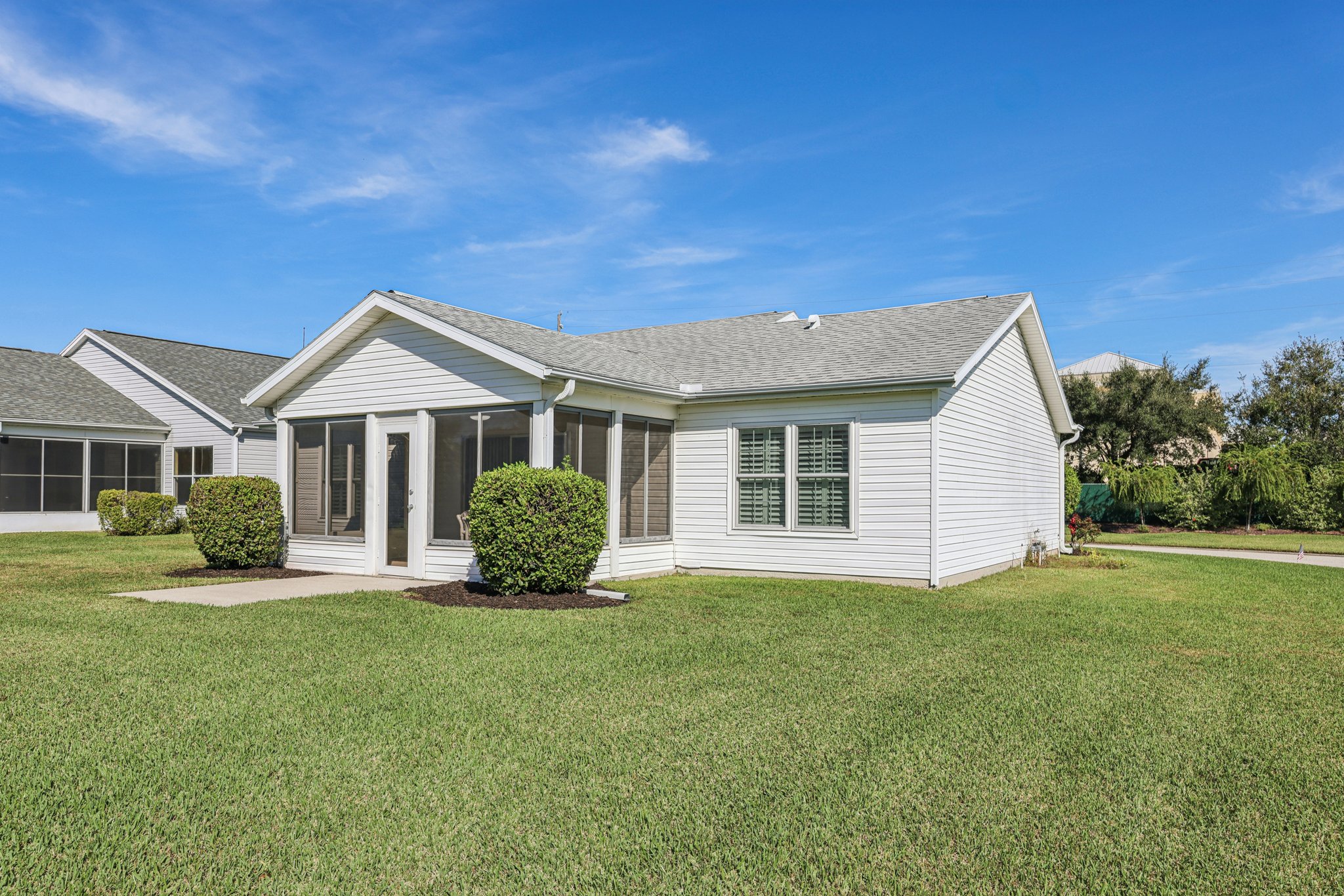 Hibiscus St-S1211-031.jpg