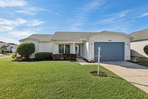 Hibiscus St-S1211-001.jpg