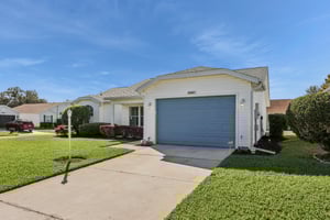 Hibiscus St-S1211-002.jpg