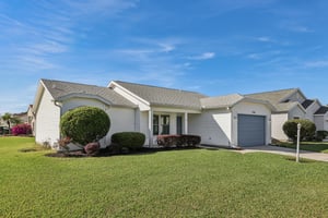 Hibiscus St-S1211-003.jpg