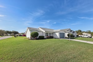 Hibiscus St-S1211-004.jpg