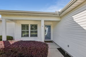 Hibiscus St-S1211-005.jpg