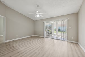 Hibiscus St-S1211-006.jpg