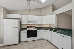 Hibiscus St-S1211-010.jpg