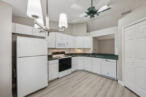 Hibiscus St-S1211-011.jpg