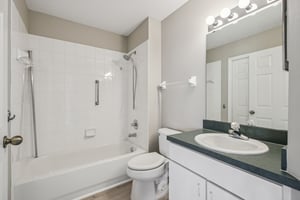 Hibiscus St-S1211-015.jpg