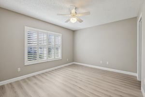 Hibiscus St-S1211-016.jpg