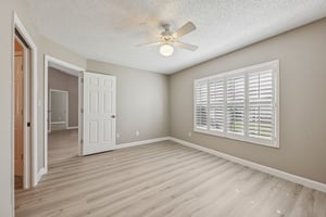 Hibiscus St-S1211-019.jpg