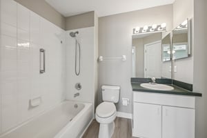 Hibiscus St-S1211-020.jpg