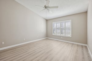 Hibiscus St-S1211-021.jpg