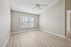 Hibiscus St-S1211-022.jpg