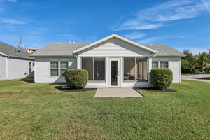 Hibiscus St-S1211-029.jpg