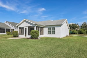 Hibiscus St-S1211-031.jpg