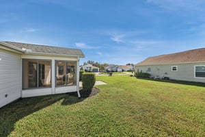 Hibiscus St-S1211-033.jpg