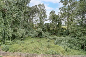 Berry Ridge Ln-040