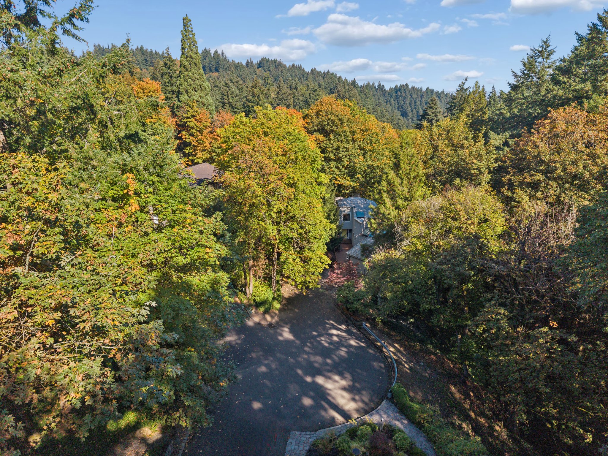 007.jpg