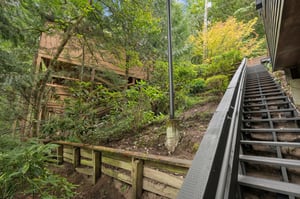 145.jpg