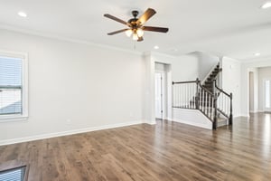Arlie Ln-27032025-011.jpg