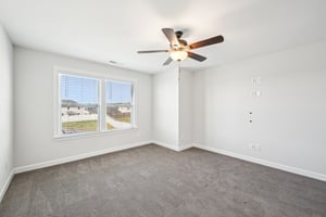 Arlie Ln-27032025-036.jpg