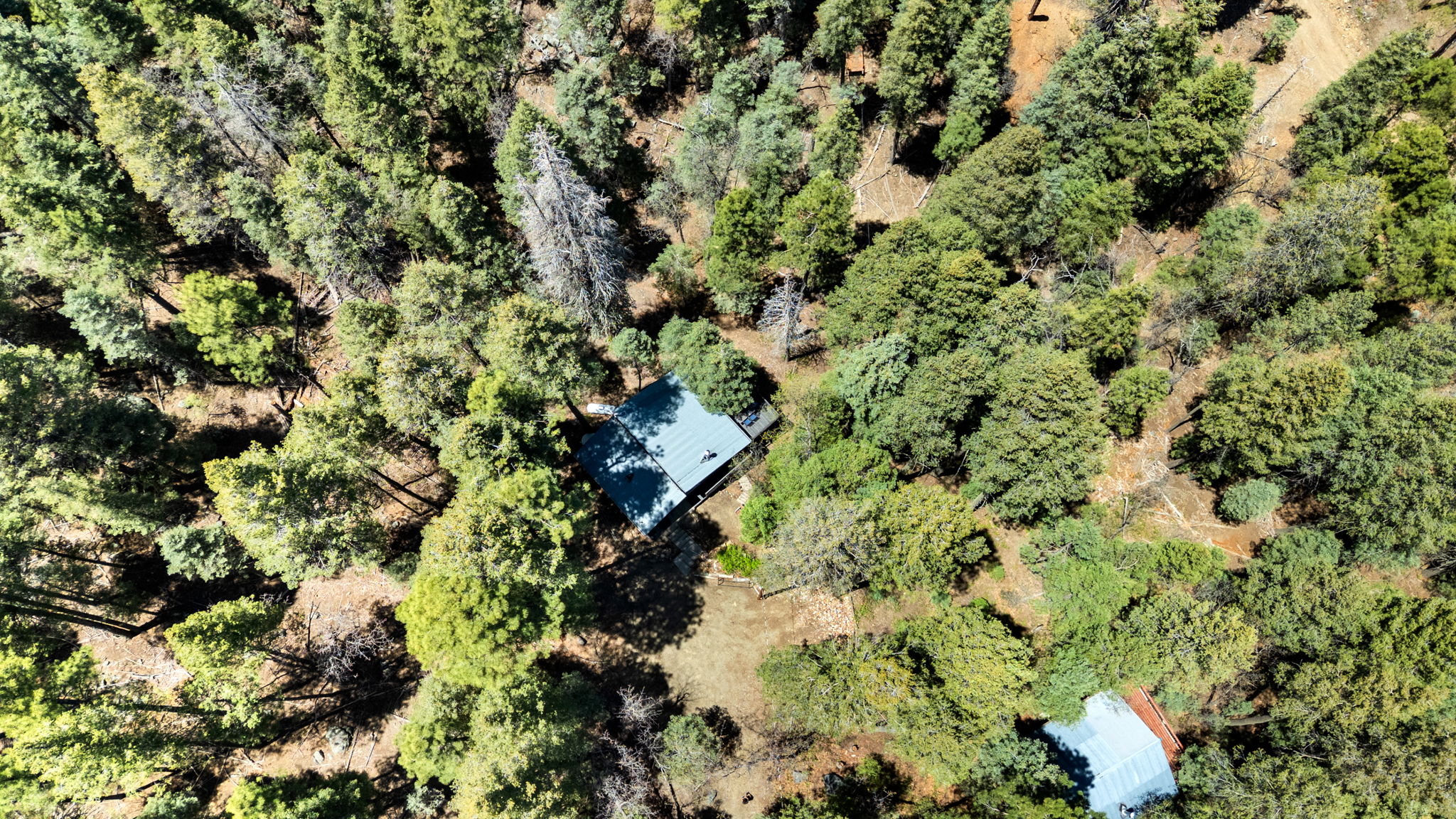 Aerial (1)