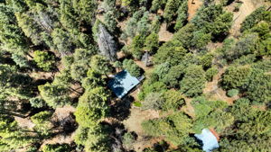Aerial (1)