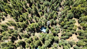 Aerial (2)